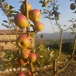 I Casali Di Colle San Paolo *