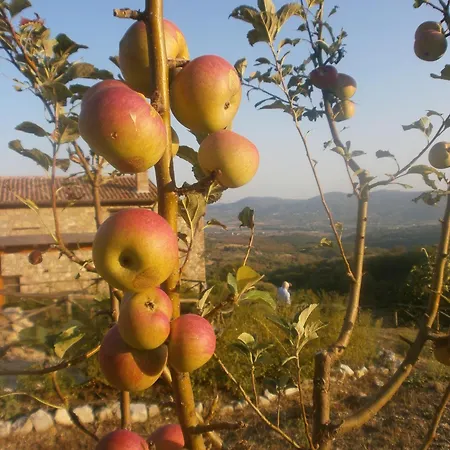 I Casali Di Colle San Paolo *