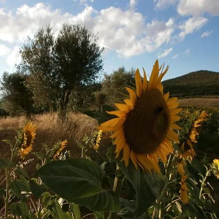 I Casali Di Colle San Paolo