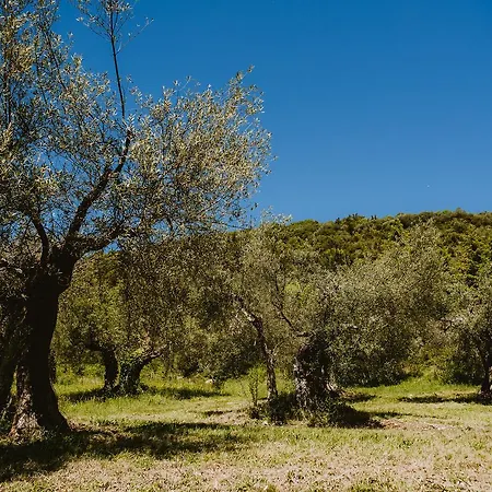 팜스테이 I Casali Di Colle San Paolo *