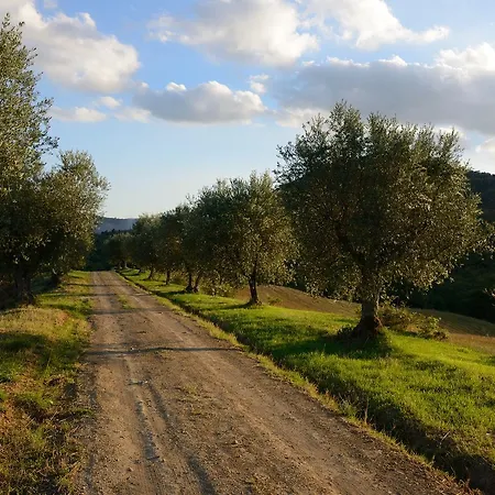 I Casali Di Colle San Paolo Lantgård Tavernelle (Panicale)