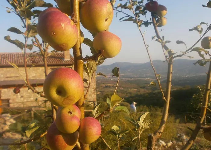 I Casali Di Colle San Paolo *