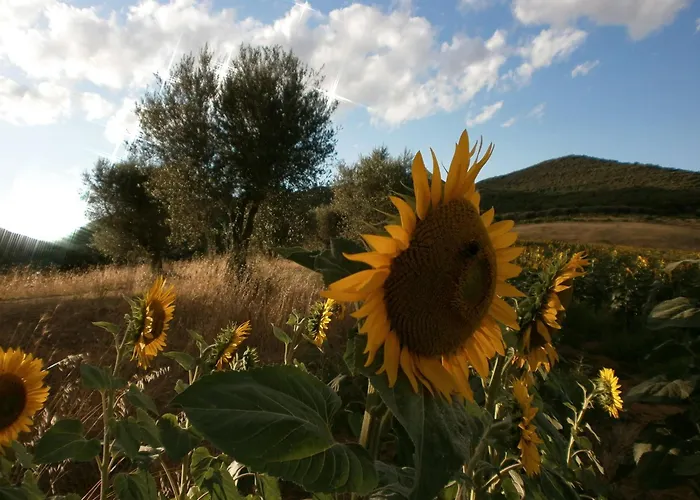 I Casali Di Colle San Paolo