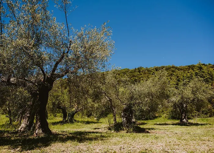 ファームステイ I Casali Di Colle San Paolo *