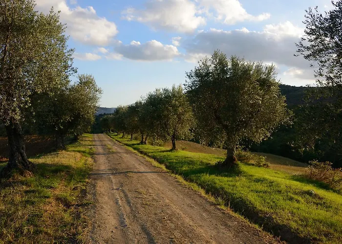 I Casali Di Colle San Paolo ファームステイ Tavernelle